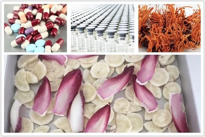 凍干技術在現代生產中的應用與前景