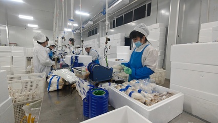 安圖生物 鉚足干勁抓生產，奮力沖刺生物制品“開門紅”